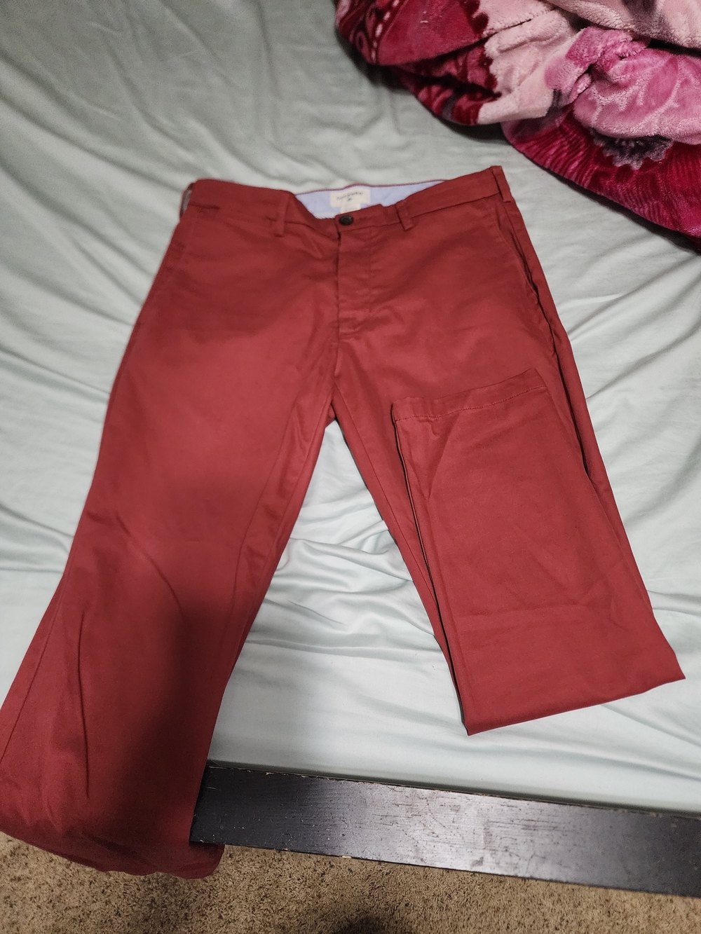 Men's Rust Red Casual Pants